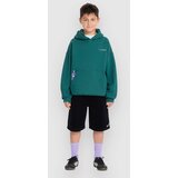 Volcom Fa Ben Sanaire Po Kids Pulover s kapuco rifle green Cene