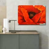 WALLXPERT Dekorativna slika na platnu, 70x100cm, Šareno | Eponuda.ba