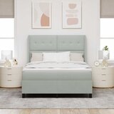  s opruga kutije Svijetlo siva 160 x 200 cm Baršun | shoptok.hr