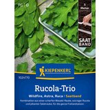 KIEPENKERL Solatna rukola "Ruca", semenski trak - 1 pkt. Cene