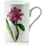Mondex Skodelica porcelan Bone China Armano 410 ml 7,8x11x11,5 cm roza 1 kos, (5000179061) | Shoptok.si