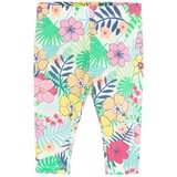 Cool club pajkice DH CCG2801533 D zelena 92 | Shoptok.si