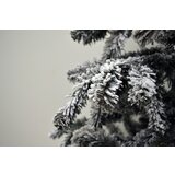  Novogodišnja jelka Kraljevska snežna jela 120 cm | Eponuda.com