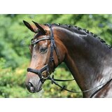 Busse Uzda "MODENA" - WB Cene