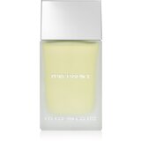 Pascal Morabito Pure Essence toaletna voda 100 ml za muškarce | shoptok.hr