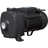 Pretočna črpalka WPEm 13000 G 230V