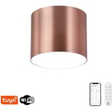  Immax NEO 07319L - LED prigušiva RONDATE plafonsko svetlo 18W/230V 11,5 cm Wi-Fi Tuya ružičasta | Eponuda.com