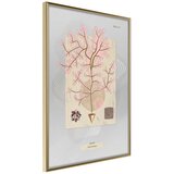  Poster - Seaweed 20x30 | shoptok.hr