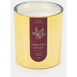 Sinsay Svijeća Harvest Moon | shoptok.hr