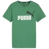 Puma ESS + 2 COL LOGO TEE Majica za dječake, zelena, veličina