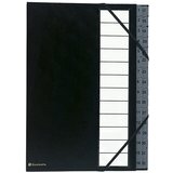 Exacompta Organizator mapa A4, 32 predelkov, črna, (21651400) | Shoptok.si