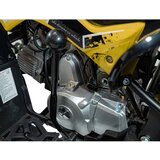 Ramiz Otroški štirikolesnik RENEGADE HIPERFECT 110CC rumena | Shoptok.si