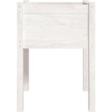 vidaXL vrtne sadilice 2 kom bijele 50 x 50 x 70 cm od masivne borovine | shoptok.hr