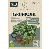  Brstični ohrovt BIO - mikrozelenje/semena kalčkov - 40 g | Shoptok.si
