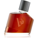 Bruno Banani Magnetic Man 50 ml toaletna voda za moške Cijene