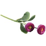 RAYHER Marjetica, roza, 23cm, dva cvetova, (20633987) Cene