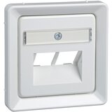 Elso centralna plošča rw UAE 2xRJ45,Rutenbeck 206534, (20858207) | Shoptok.si