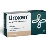 uroxen ® kapsule 30