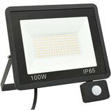 vidaXL LED reflektor s senzorjem 100 W hladno bel | Shoptok.si