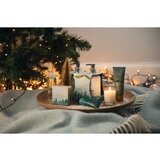 Scottish Fine Soaps Winter Wonderland Luxury Soap luksuzno trdo milo v pločevinki Cinnamon, Dried Fruits & Vanilla 100 g | Shoptok.si
