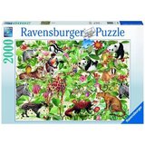Ravensburger puzzle (slagalice) - Džungla RA16824 Cene