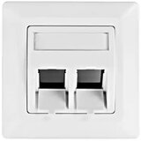 Schrack utičnica za 2 modula pod uglom 80x80 toolless line HSED02UW2S | ePonuda.com