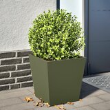 Furnova Vrtno korito olivno zelena 40x40x40 cm jeklo, (21920766) Cene