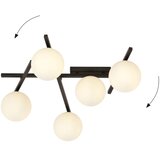  plafonsko svetlo smart 5xE14/10W/230V crno/belo | Eponuda.com