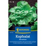 KIEPENKERL Glavnata solata "Attraktion" - 1 pkt. | Shoptok.si