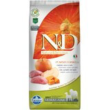 Farmina N&D Adult Medium & Maxi bundeva s divljom svinjom i jabukom bez žitarica - 12 kg | shoptok.hr