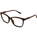 Chloe CH0318O 002 ONE SIZE (55) Havana/Kristalna | Shoptok.si