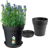 Basics set, črna, lonec za gojenje 17 cm + podstavek 14 cm