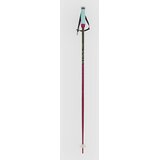 Völkl Phantastick W Poles 2025 Smucarske palice berry Cene