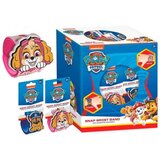 NARUKVICE  SNAP BAND NARUKVICE SNAP BAND Paw patrol silikonska Cijene