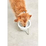 MiaCara Porculanska posuda s postoljem za pse ø 20 cm Pranzo Greige M – | shoptok.hr