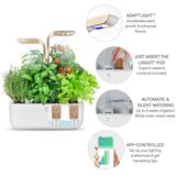  Veritable® CONNECT Moonlight Gold Kućni Vrt | shoptok.hr