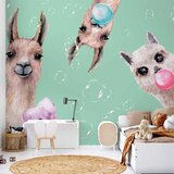  Foto tapeta - Crazy Llamas 200x140 Vodootporna | shoptok.hr