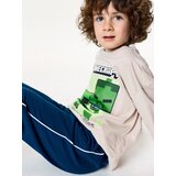 Sinsay Donji dio trenirke jogger Minecraft | shoptok.hr