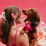 Invisibobble My Claw sponka krokodilček za lase 1 kos | Shoptok.si