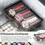 YSISLYBIN 2x raztegljiva kovinska košara za zamrzovalnik | Shoptok.si