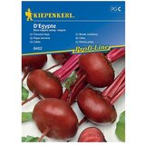 KIEPENKERL Zelenjavna semena rdeče pese D'Egypte (Beta vulgaris subsp. vulgaris, Čas žetve: Julij) | Shoptok.si