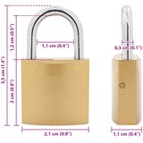  zaključavanje s ključevima 100 pcs Mjed Željezo | shoptok.hr