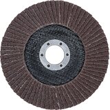 BGS Brusni disk | Ø 125 mm | K 60 | shoptok.hr