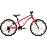 THUNDER 20"