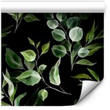  Tapeta - Bouquet of Greenery 50x1000 | shoptok.hr
