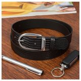 Beltimore D89 sarena | shoptok.hr