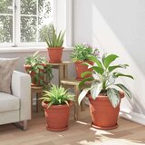  Krožni cvetlični pladenj 24 pcs Kamnito rdeča Ø 21,5 x 2,5 cm, (5000207343) | Shoptok.si