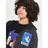 Sinsay Komplet gornjeg dijela trenirke i hlača Sonic the Hedgehog | shoptok.hr