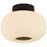 Searchlight Lumina 1 lahka stropna poravnava z matiranim rebrastim steklom, (22100877) | Shoptok.si