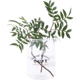 Esschert Design Staklena vaza (visina 12 cm) Natural History – | shoptok.hr
